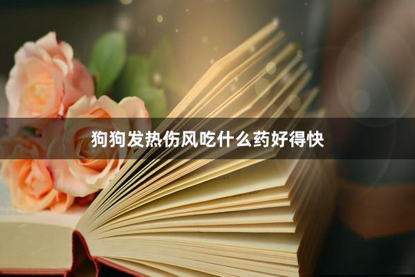 狗狗发热伤风吃什么药好得快
