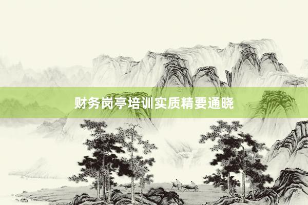 财务岗亭培训实质精要通晓